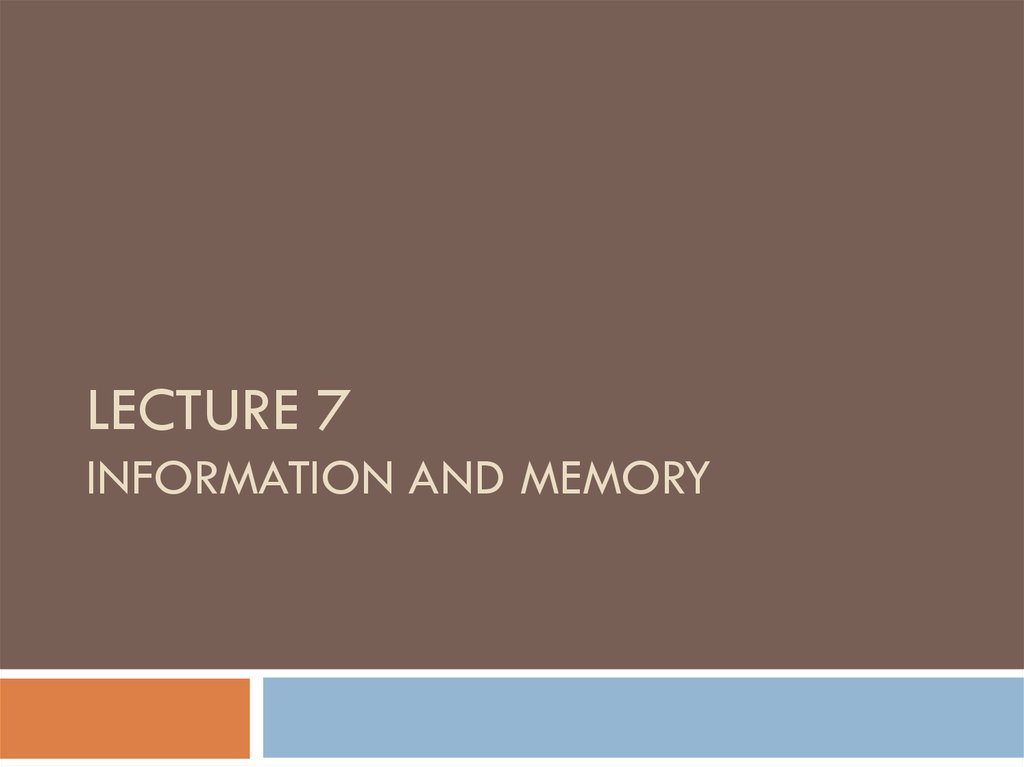 Lecture 7 Information and memory