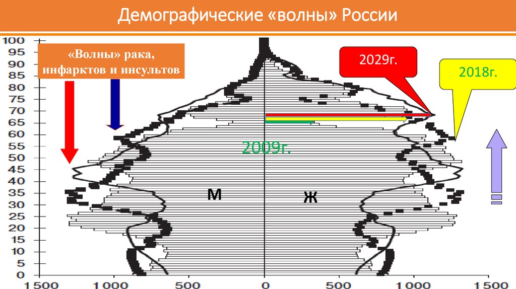 Демографическая диаграмма. Демографическое состояние России. Волны демографии в России. Демография России диаграмма.