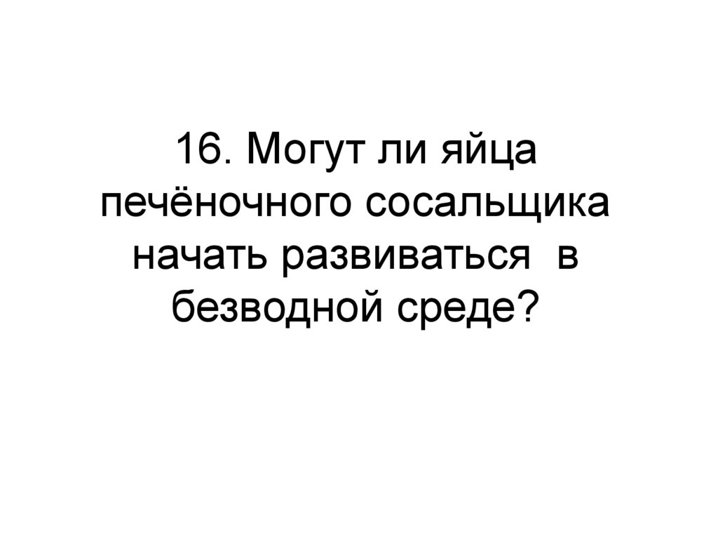 Могут 16