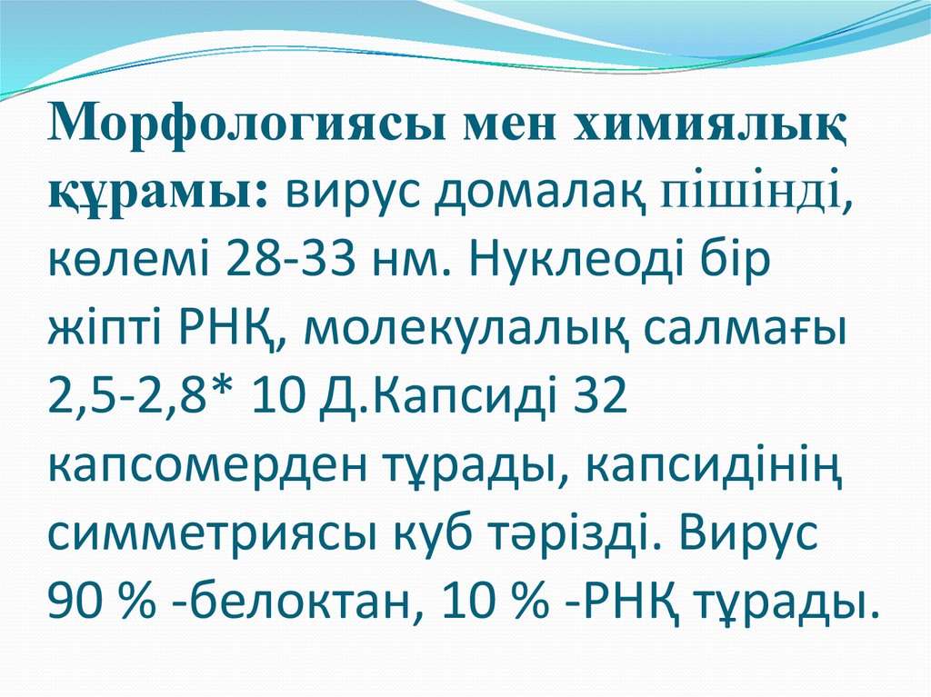 Морфологиясы мен химиялық құрамы: вирус домалақ пішінді, көлемі 28-33 нм. Нуклеоді бір жіпті РНҚ, молекулалық салмағы 2,5-2,8*