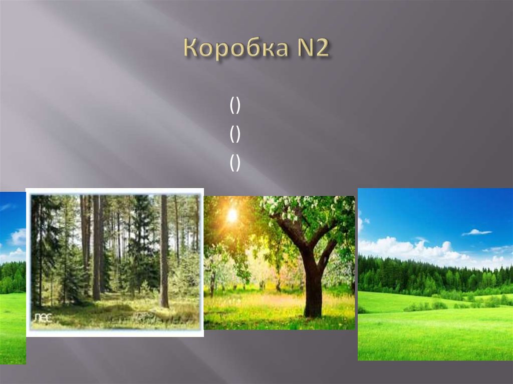 Коробка N2