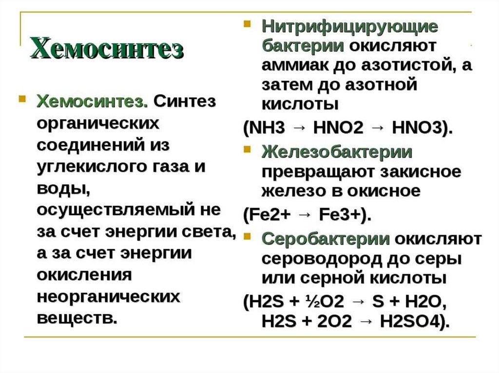 Схема синтезирующие бактерии