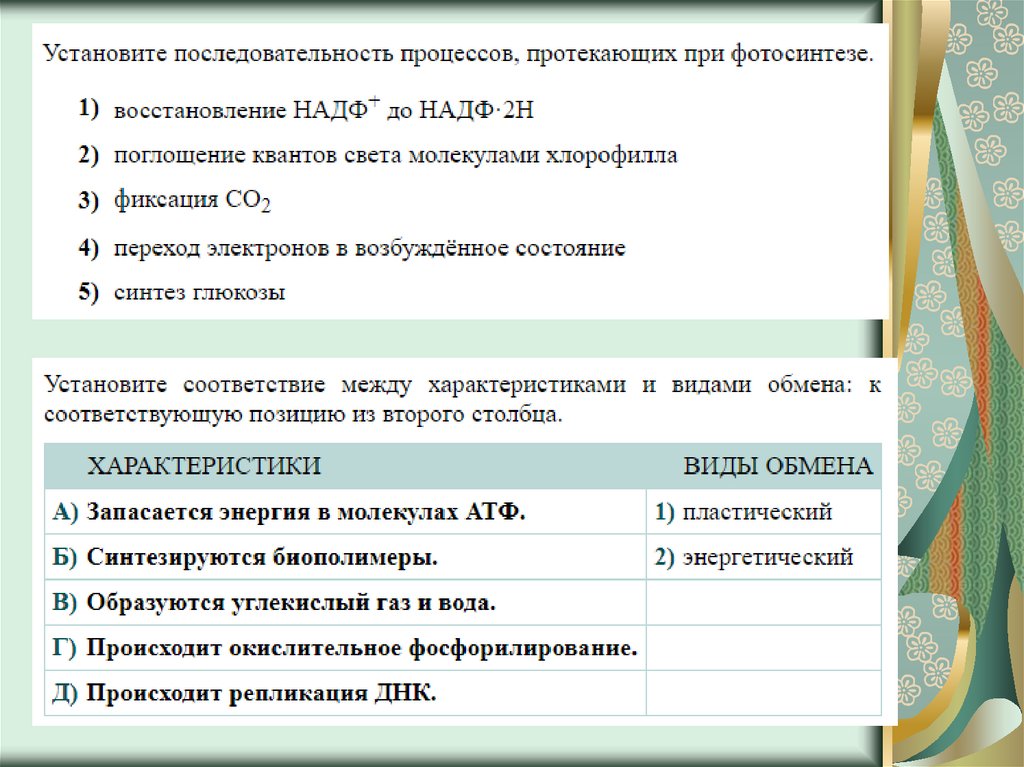 Проверочная работа биология 6 класс обмен веществ. Задания на энергетический обмен ЕГЭ биология. Углеводы задания ЕГЭ биология. Обмен веществ ЕГЭ презентация. Схема энергетического обмена ЕГЭ биология.