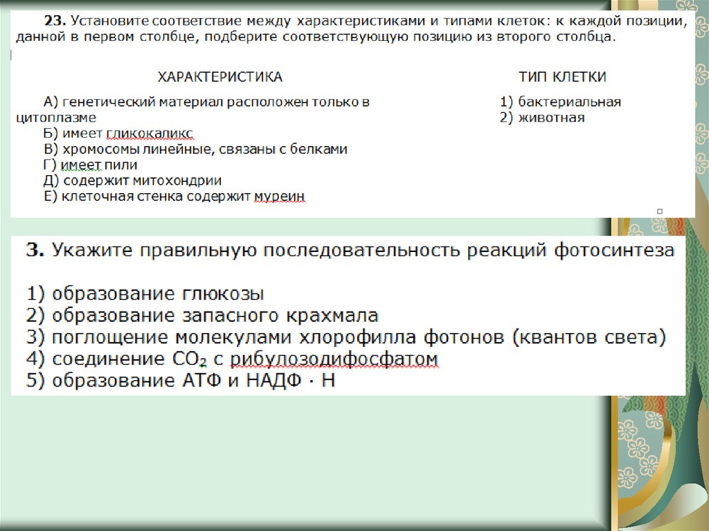 Проверочная работа по теме обмен веществ витамины. Основный обмен это био ЕГЭ. Тест по биологии на тему обмен веществ и энергии тест 8 8 класс.