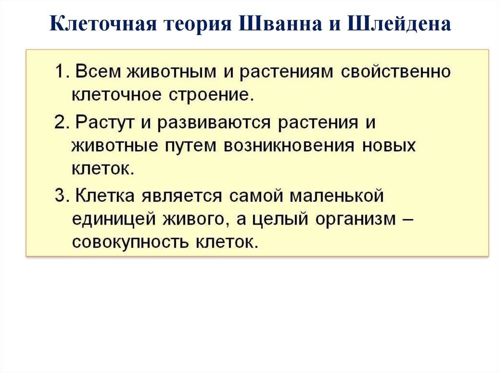 Согласно клеточной теории клетка это единица. Клеточная теория Шванна и Шлейдена. Клеточная теория т Шванна и м Шлейдена. Клеточная телрия Гван шлейдкна. Теория Шлейдена иишванна.