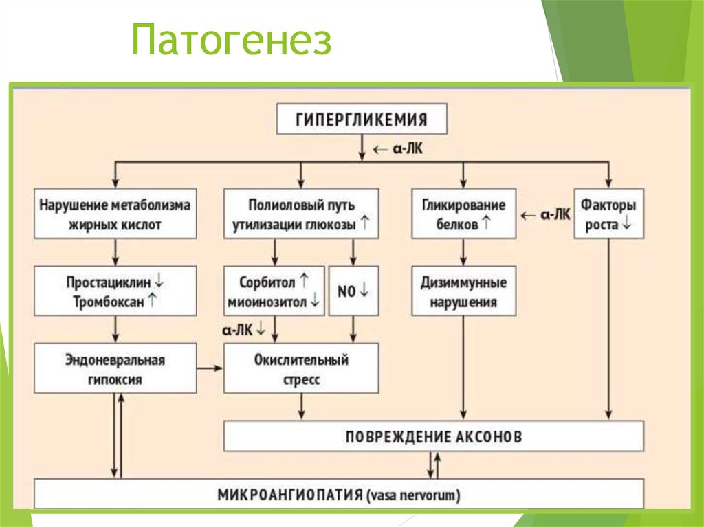 Схема развития диабетических ком