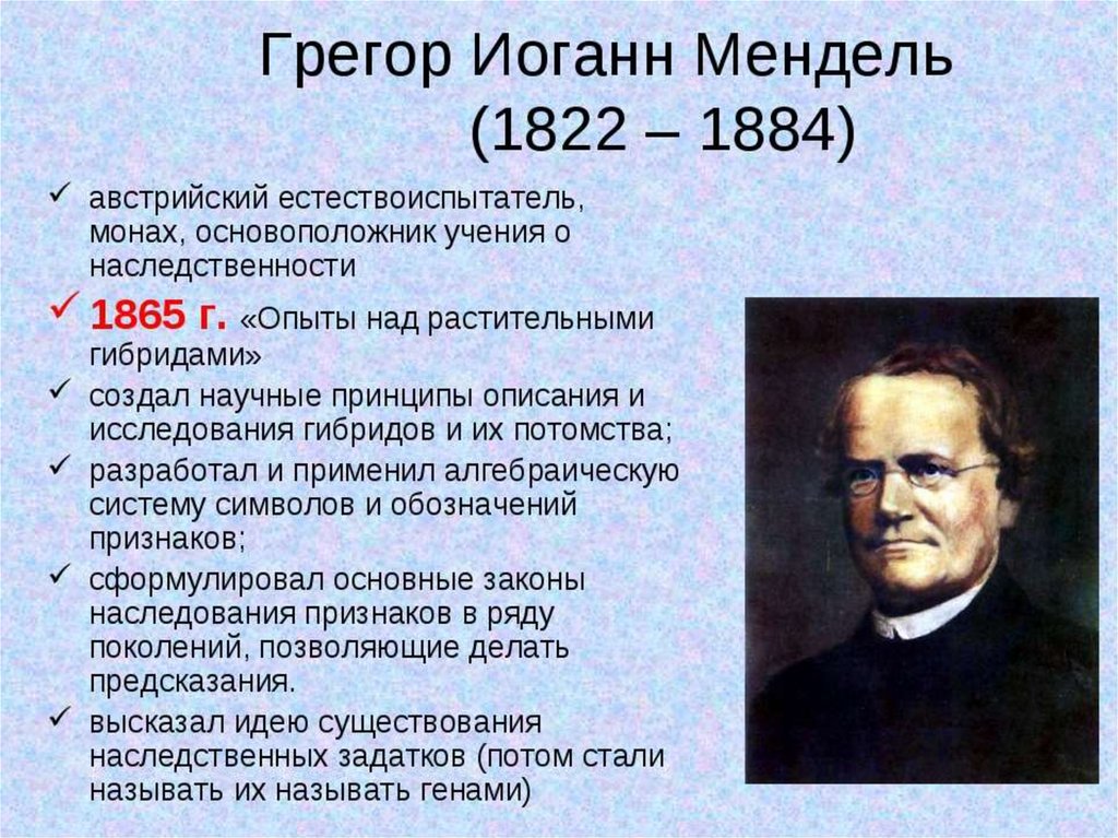 Каком году д снедзен впервые употребил термин метод проектов