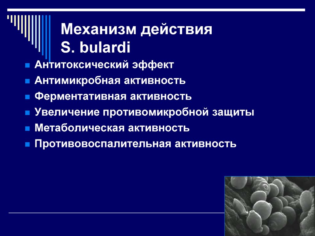Механизм действия S. bulardi