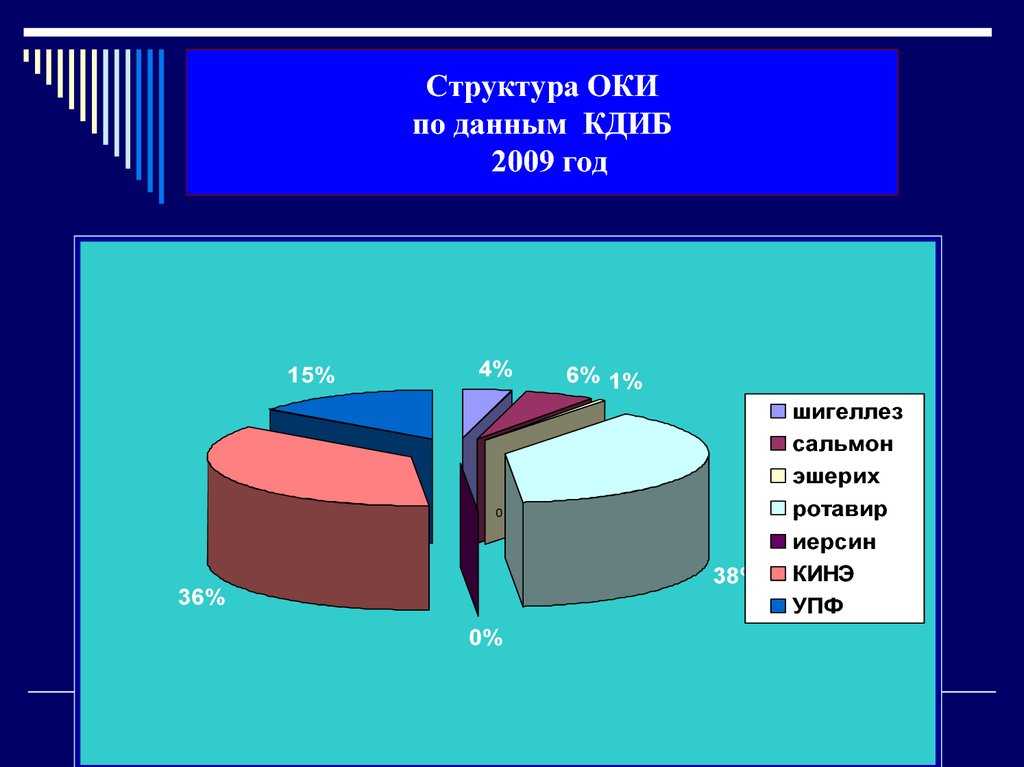 Структура ОКИ по данным КДИБ 2009 год