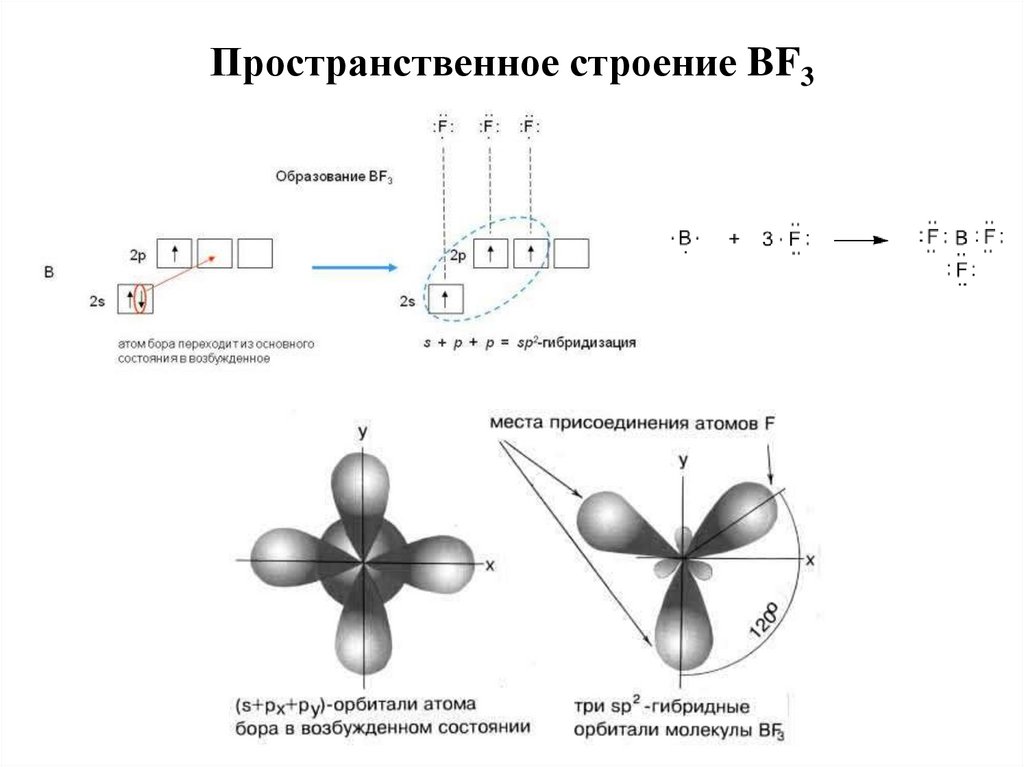 Определение гибридизации. Bf3 строение молекулы. Пространственная структура молекул bf3. Bf4- пространственное строение. Пространственная конфигурация молекулы bf3.