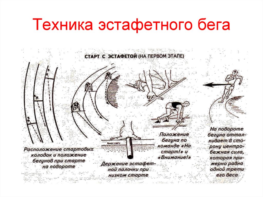 Презентация на тему легкая атлетика эстафетный бег