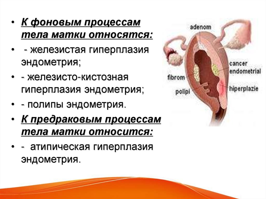 Предрак эндометрия. Фоновые процессы тела матки. Фоновые и предраковые заболевания эндометрия. К фоновым заболеваниям эндометрия относится:.