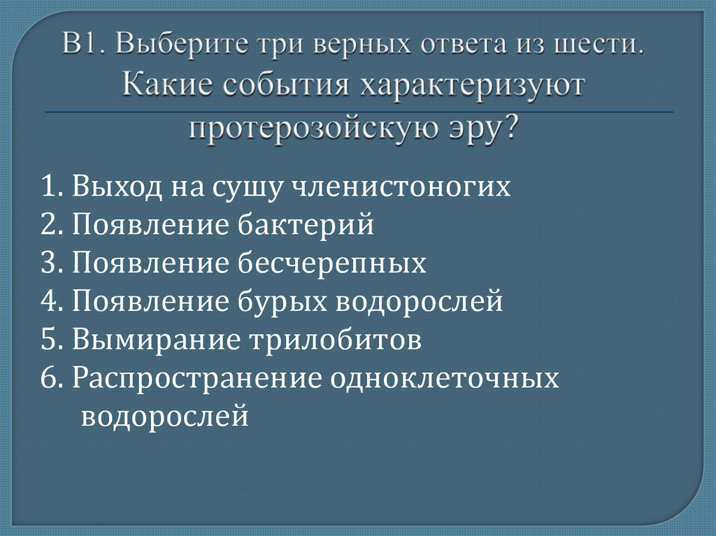 Какие три положения характеризуют немецкий план тайфун