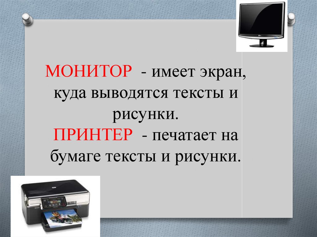 Графические изображения какого типа выводятся на экран монитора