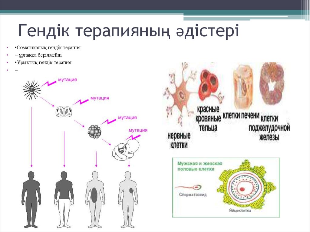 Гендік аурулар презентация