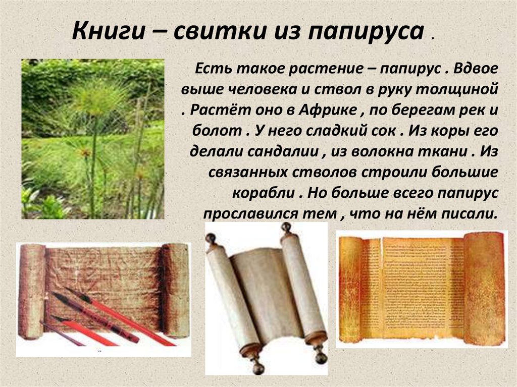 Растение на котором писали первые книги. Книги и письмо в Египте (папирусные свитки). Писали книги на папирусе. Книги из папируса. Первая книга из папируса.