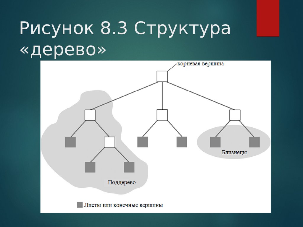 Структура данных дерево. Дерево (структура данных). Структурирование информации деревья. Структура дерева. Структурирование информации рисунок.