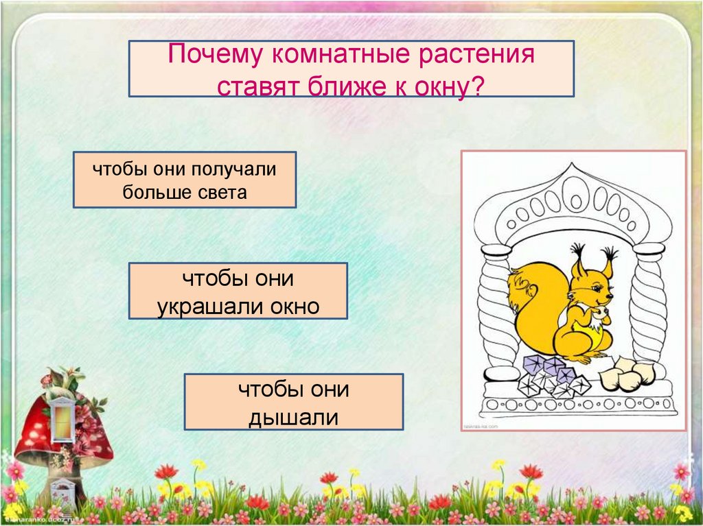 Поставь ближайший. Почему комнатные растения ставят ближе к окну. Почему комнатные растения ставят близко к окну. Почему растения ставят близко к окну?. Ставить растения ближе к свету.