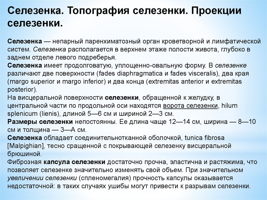 Селезенка топография. Топография селезенки топографическая анатомия. Форма поверхности селезенки топография. Селезенка топографическая.