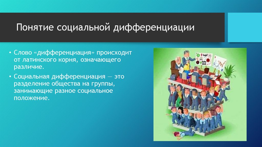 Проект на тему разделение общества на группы 6 класс