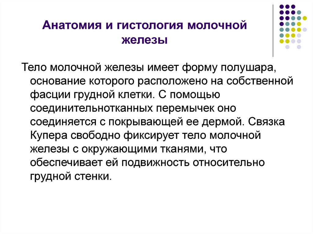 Анатомия и гистология молочной железы