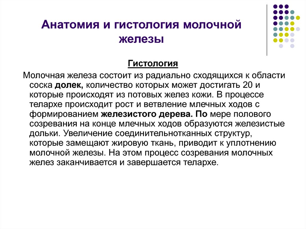 Анатомия и гистология молочной железы