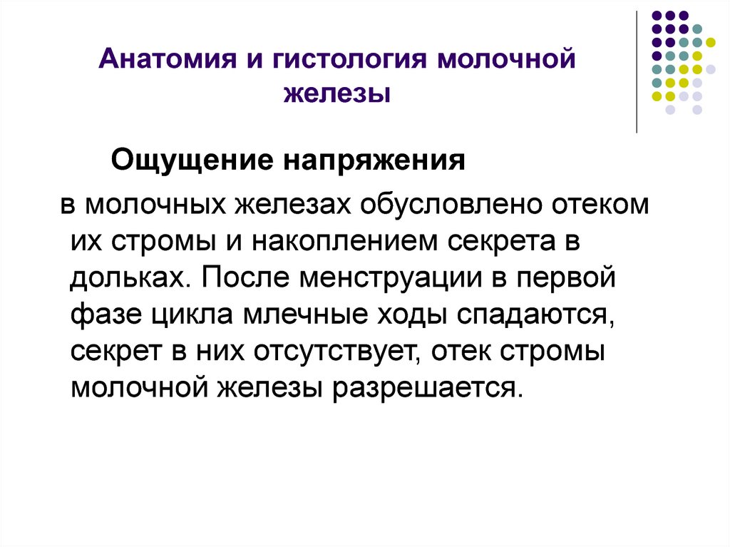 Анатомия и гистология молочной железы