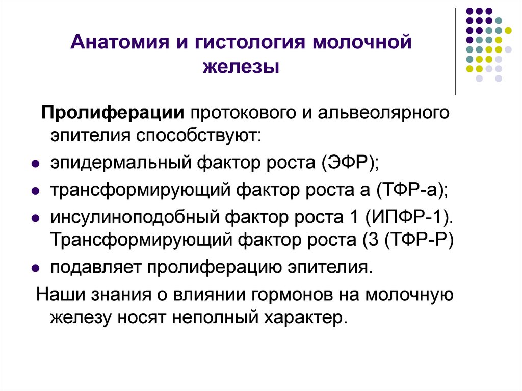 Анатомия и гистология молочной железы