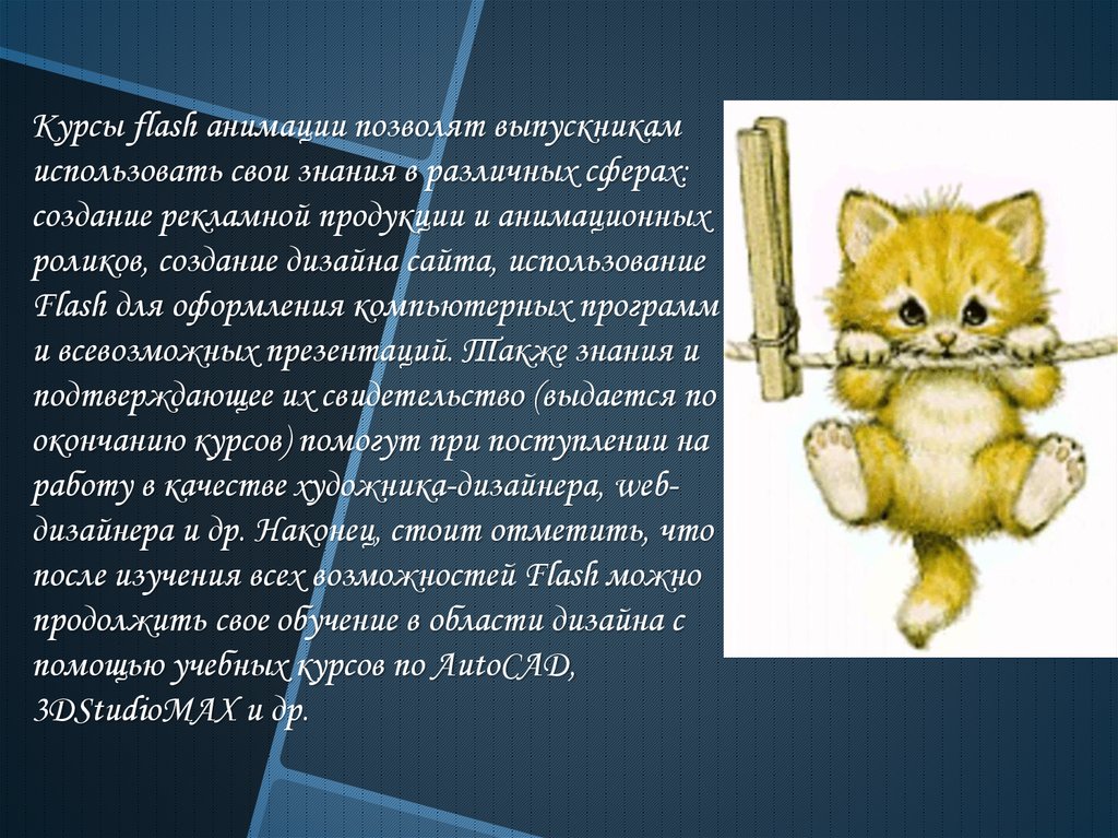 Анимация позволяет. Презентация с флеш анимацией. Курсы флеш анимации. Курсы флеш анимации Москва. Флеш анимация что означает.