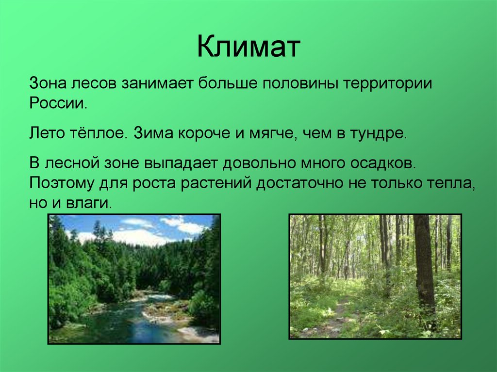 Лесная зона занимает большую часть климатического. Климат Лесной зоны России. Климат зоны лесов. Презентация на тему Лесная зона. Климат зоны лесов 4 класс.