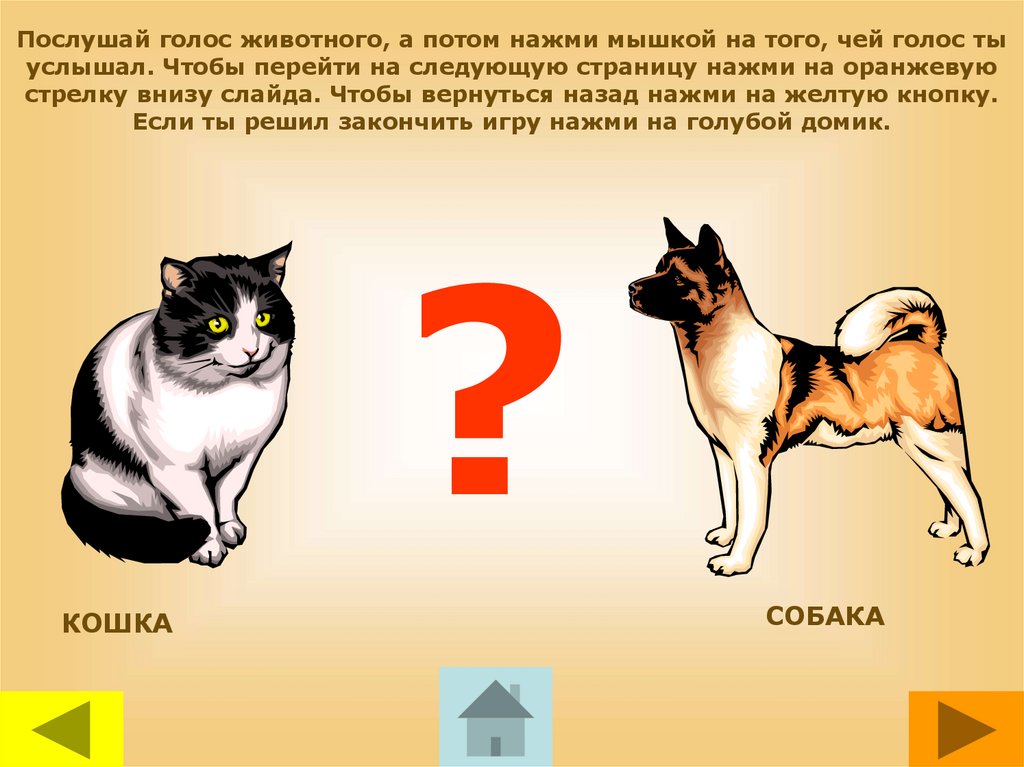 Чей голос. Чьи это голоса?. Чей голос звери. Игра чей голос. Чей голос картинка.