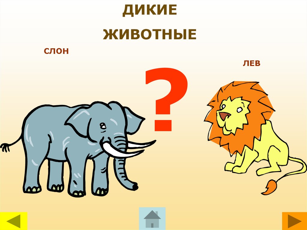 Чей это голос. Лев и слон. Слон и Лев рисунок. Слон и Лев для детей. Детские презентации Лев слон.