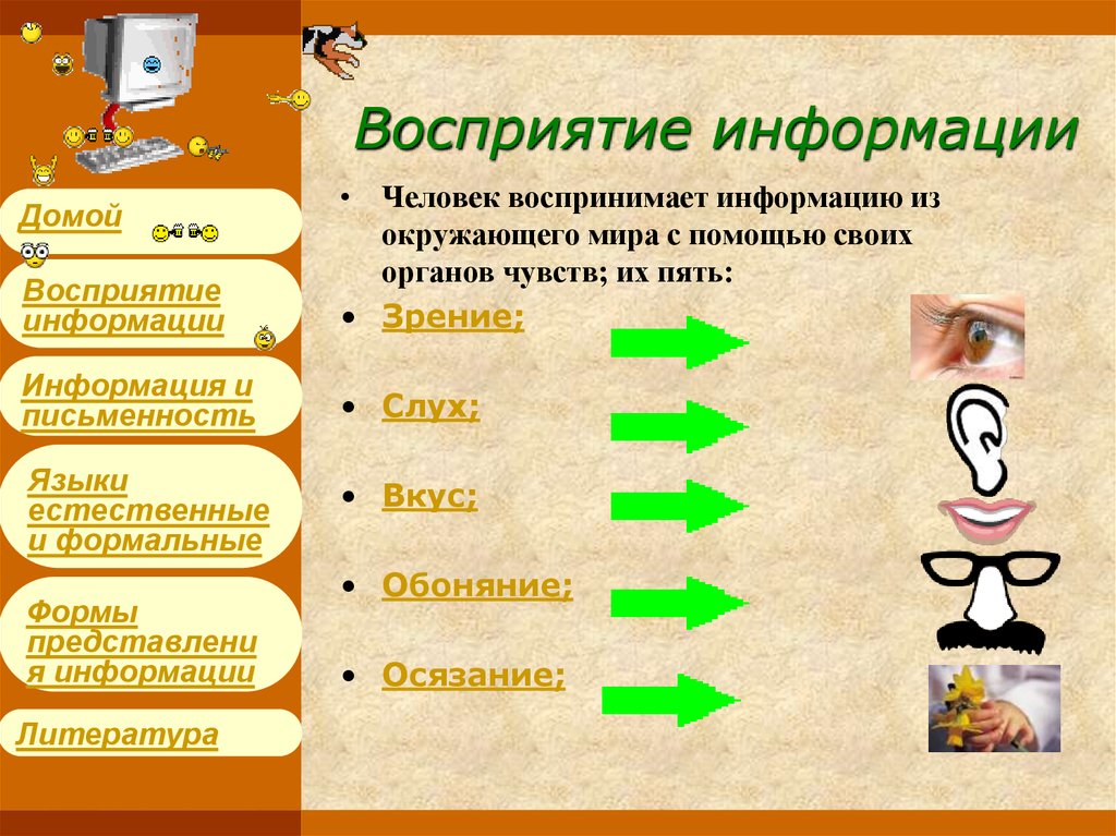 7 видов информации. Восприятие информации. Принципы восприятия информации. Процесс восприятия информации. Этапы восприятия информации.