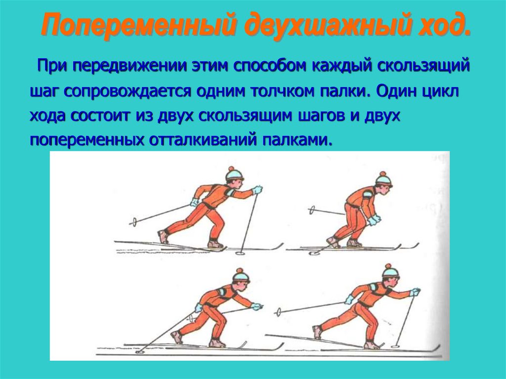 Какой ход передвижения на лыжах появился раньше. Техника попеременного двухшажного шага. Скользящий шаг. Попеременный двухшажный ход. Попеременный двухшажный ход с палками. Отталкивание двухшажный ход.