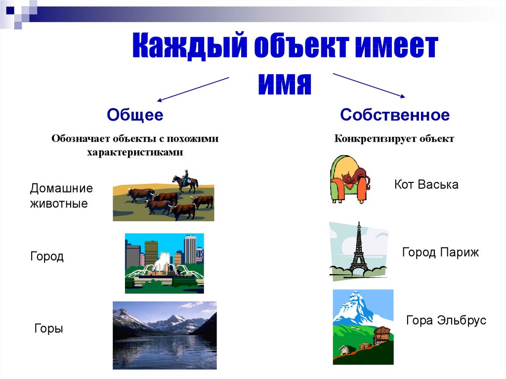 Основные свойства объекта рисунок в презентации