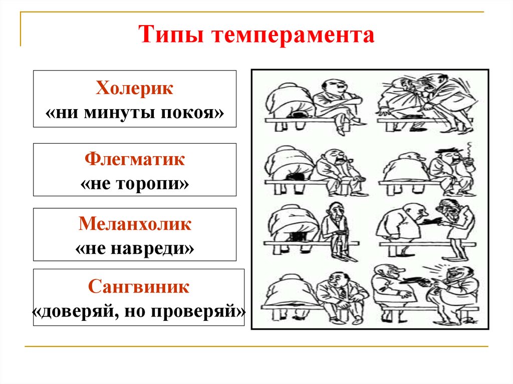 Проект темперамент человека