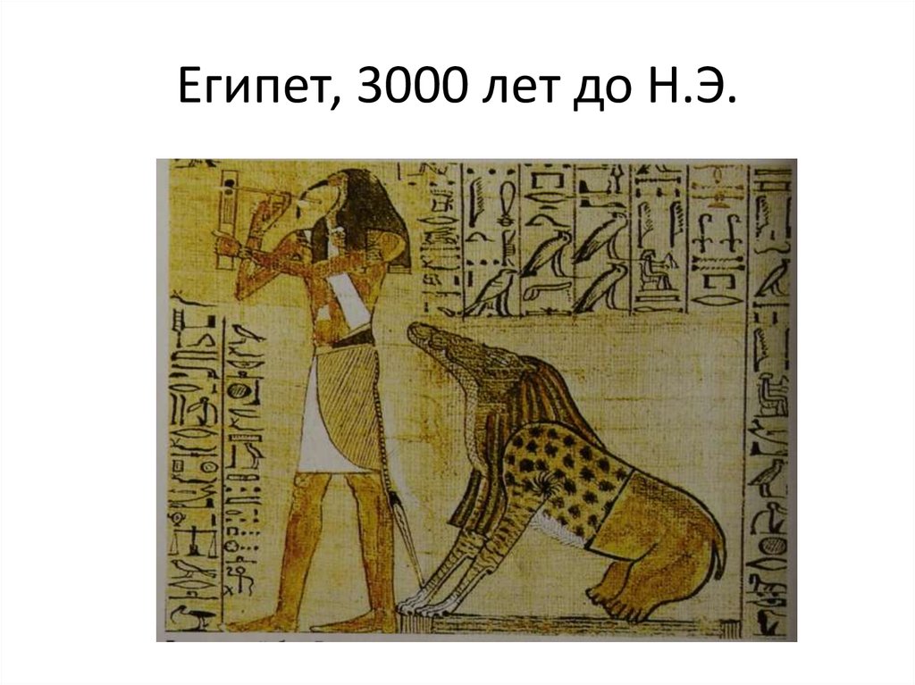 3000 лет культивации ци