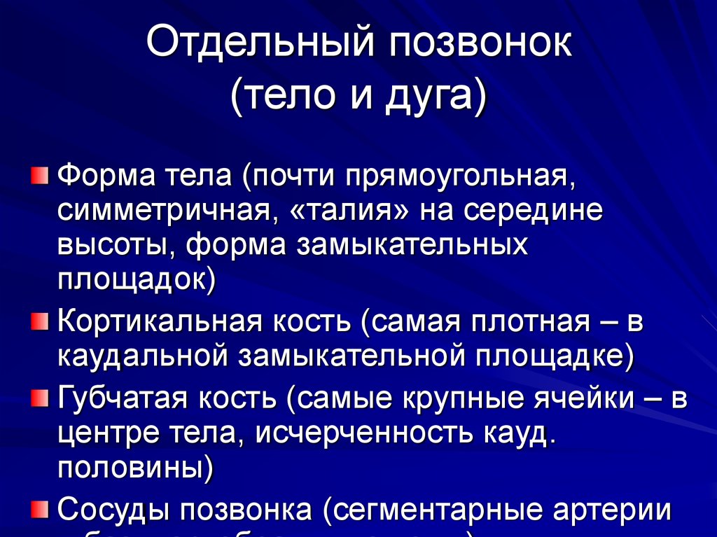 Форма тел позвонков