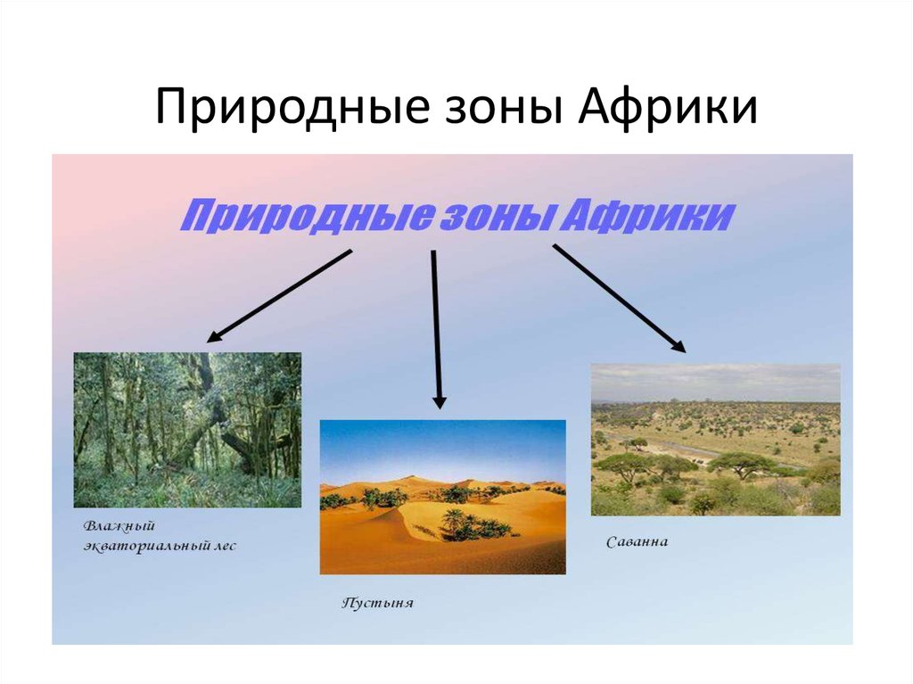 5 природных зон африки. Природные зоны Африки. Природные комплексы Африки. Природные зоны Африки 7 класс. Природные зоны Африки для дошкольников.