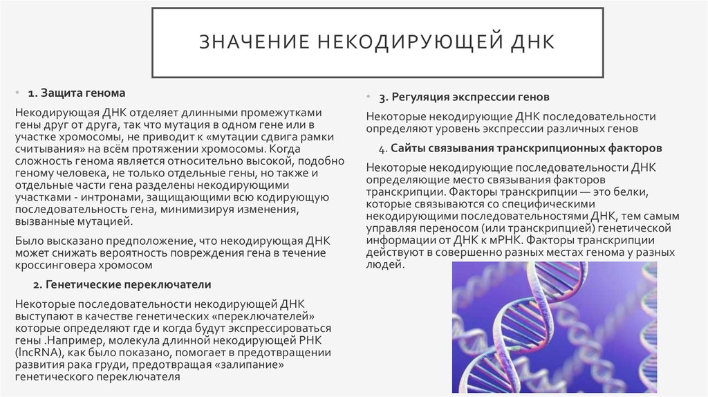 Днк лидера план осознанных изменений на год