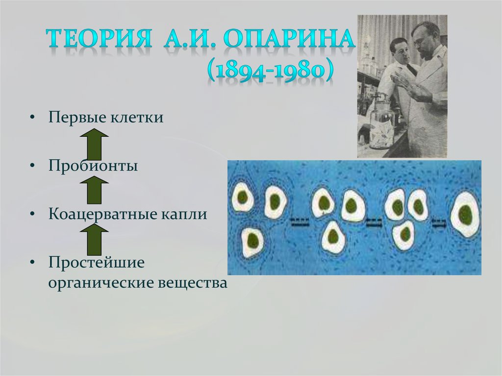 Теория А.И. Опарина (1894-1980)