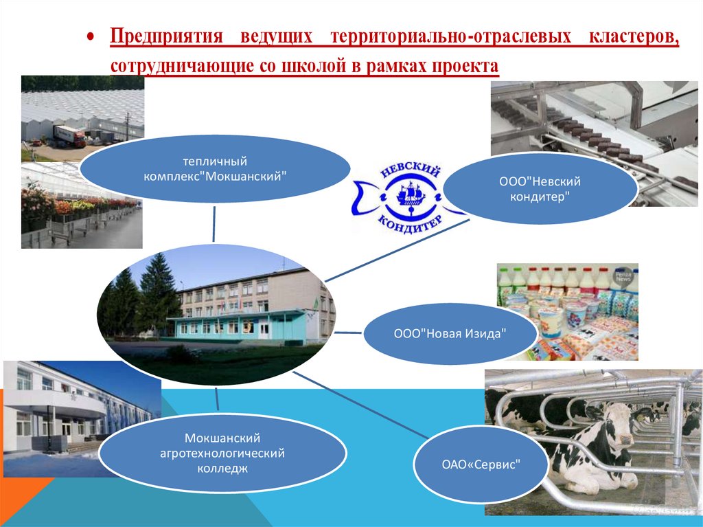 Государственные проекты обучения