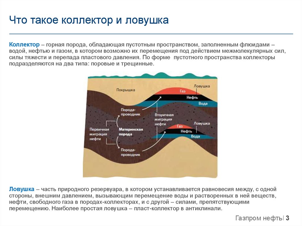 Породы нефти