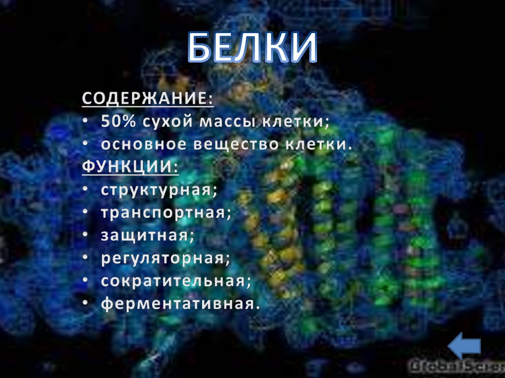 Содержащие 50. Сухая масса клетки это. Масса сухого вещества клетки. Белки содержание в клетке. Состав сухой массы клетки.