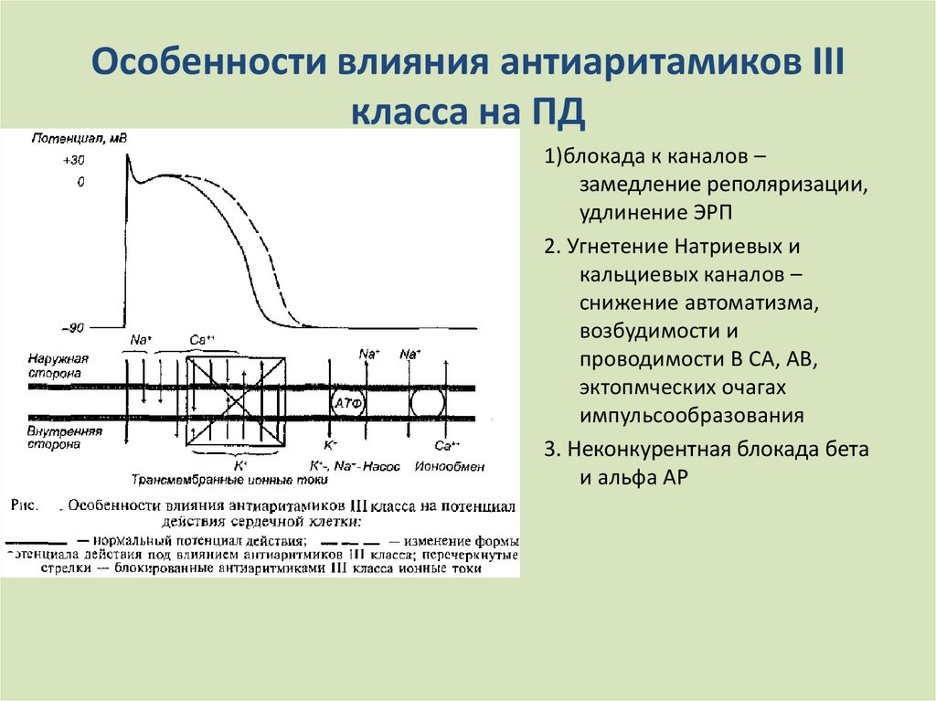 Блокаторы натриевых каналов презентация