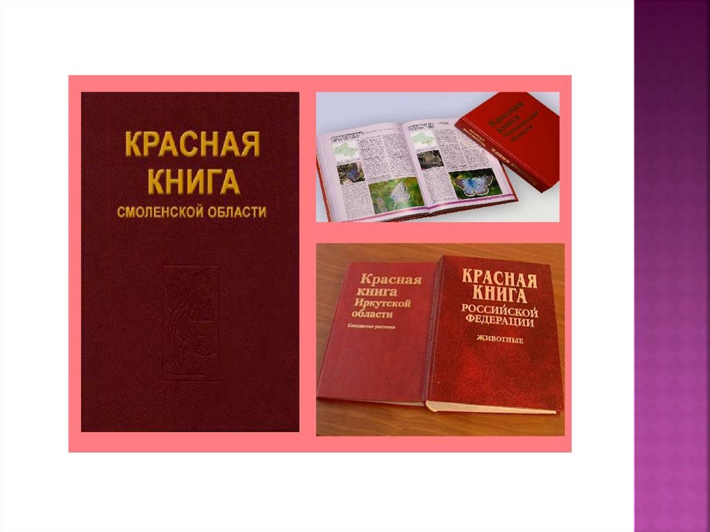 Книга смоленская область