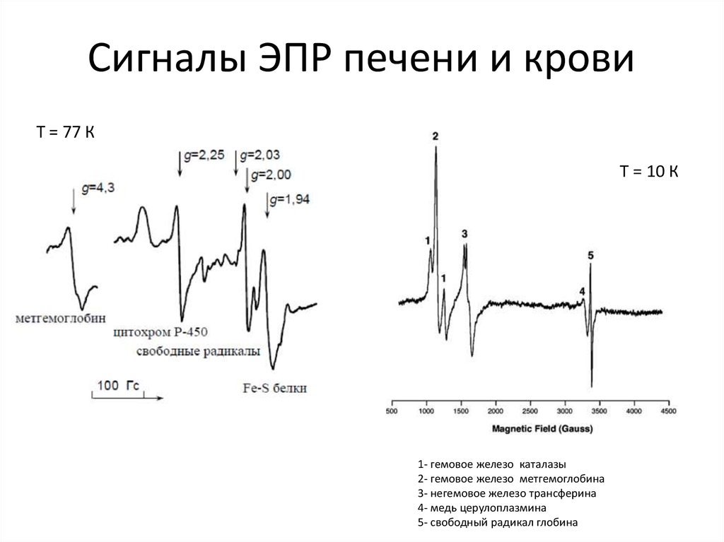 Блок схема спектрометра эпр особенности эксперимента достоинства и ограничения метода