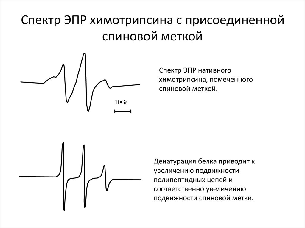 Спектроскопия эпр ямр презентация