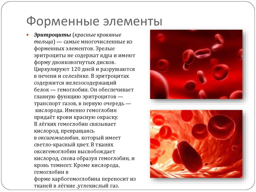 Много гемоглобина в крови