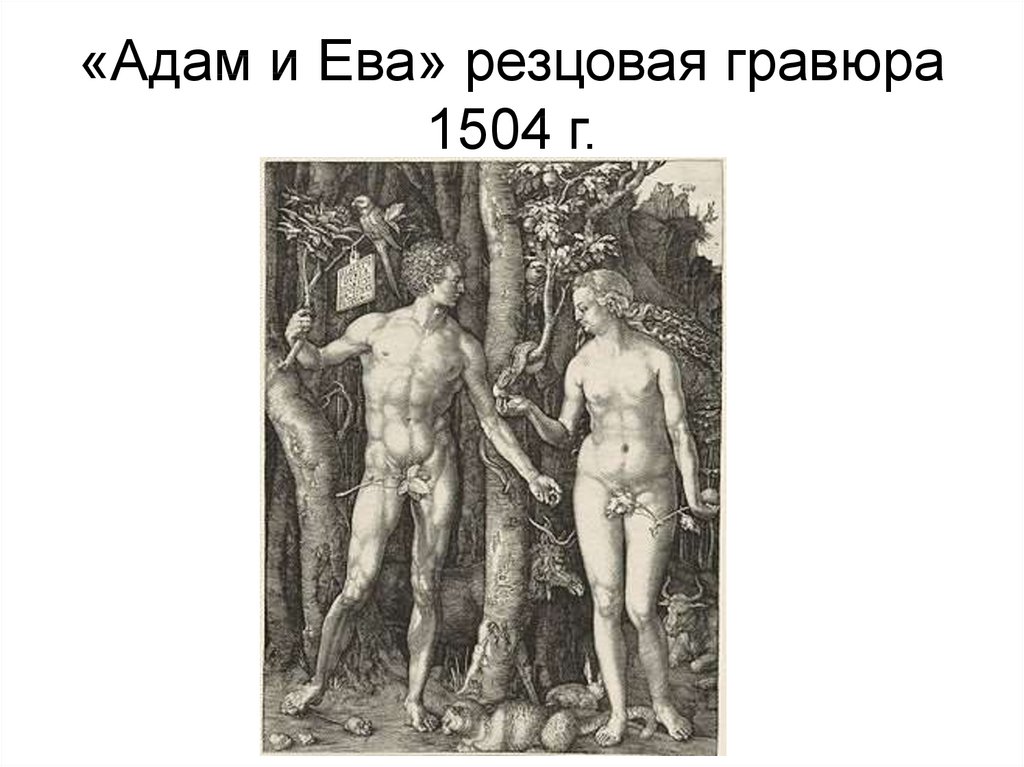 «Адам и Ева» резцовая гравюра 1504 г.
